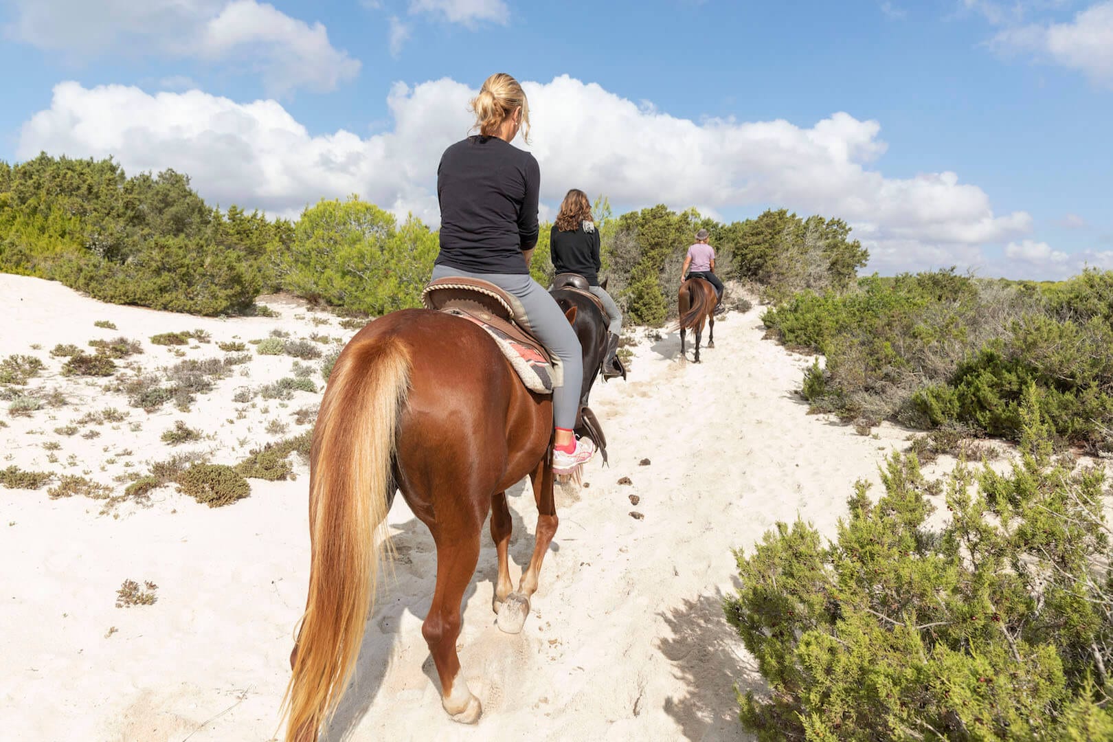 Mallorca Ridning | isla-oplevelse