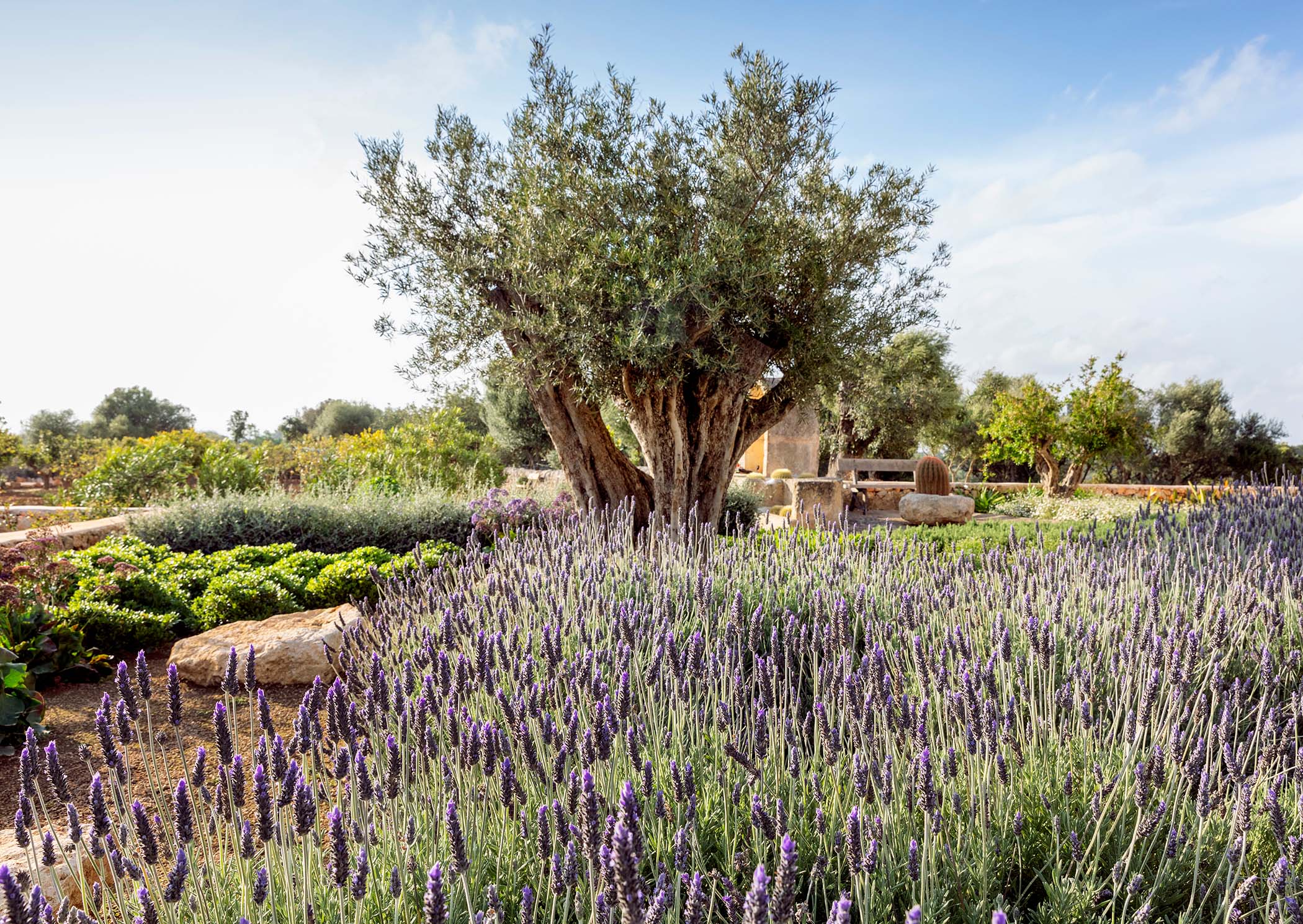 Private paradises - Mallorca's secret gardens